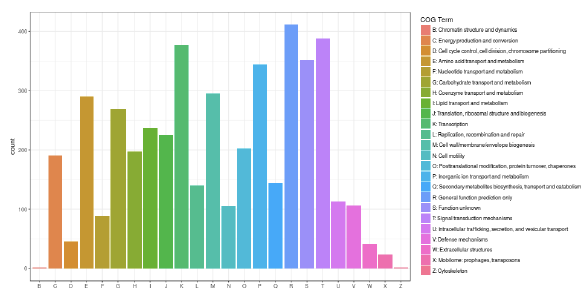 COG功能注释图