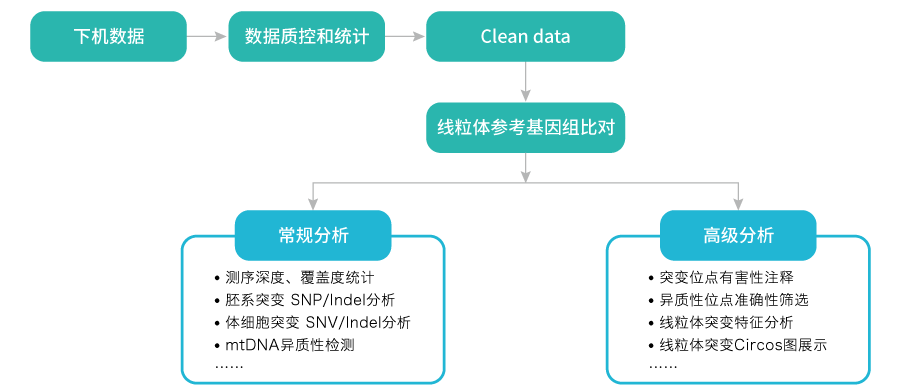 线粒体突变分析-数据分析-阅微基因