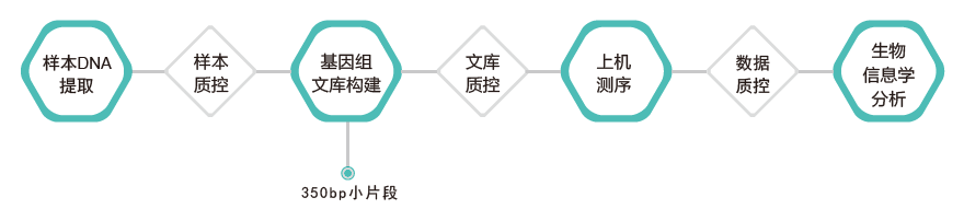 全基因组重测序-技术路线-阅微基因 全基因组重测序-技术路线-阅微基因