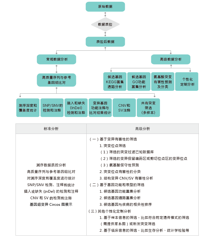 全基因组重测序-生信分析流程-阅微基因