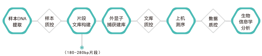 全外显子测序-技术路线-阅微基因 全外显子测序-技术路线-阅微基因