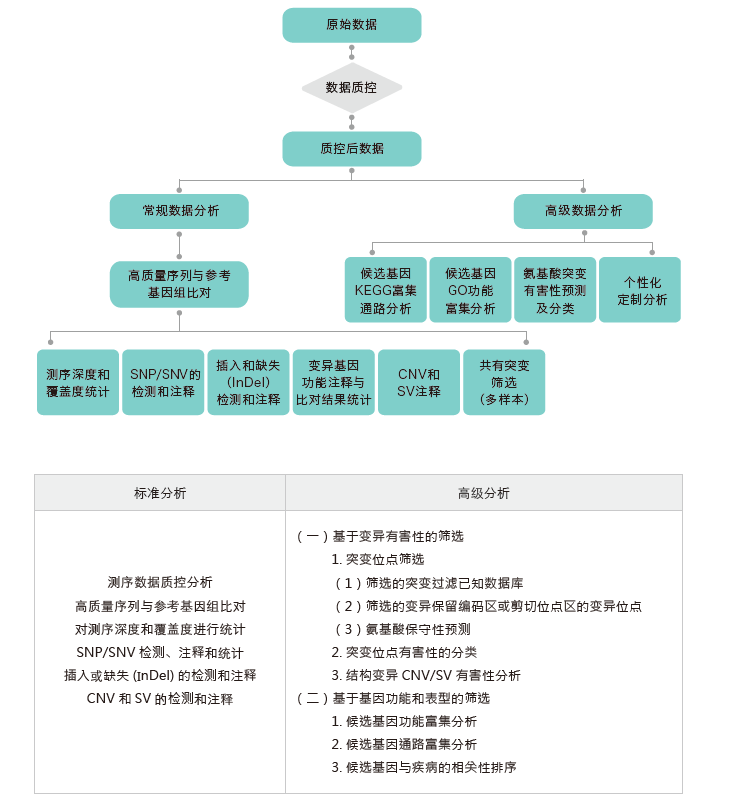 全外显子测序-生信分析流程-阅微基因 全外显子测序-生信分析流程-阅微基因