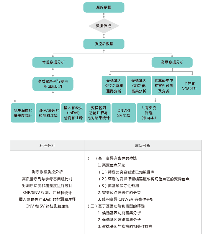 全外显子测序-生信分析流程-阅微基因