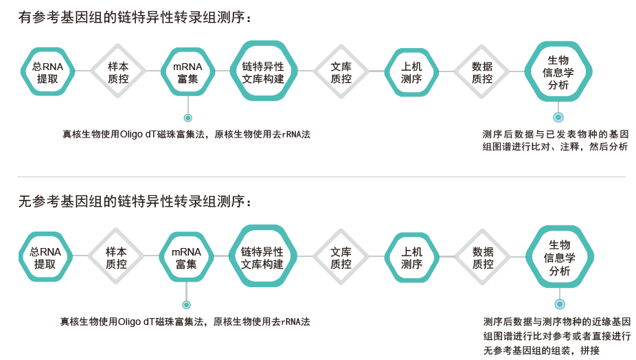转录组测序-技术路线-阅微基因 转录组测序-技术路线-阅微基因