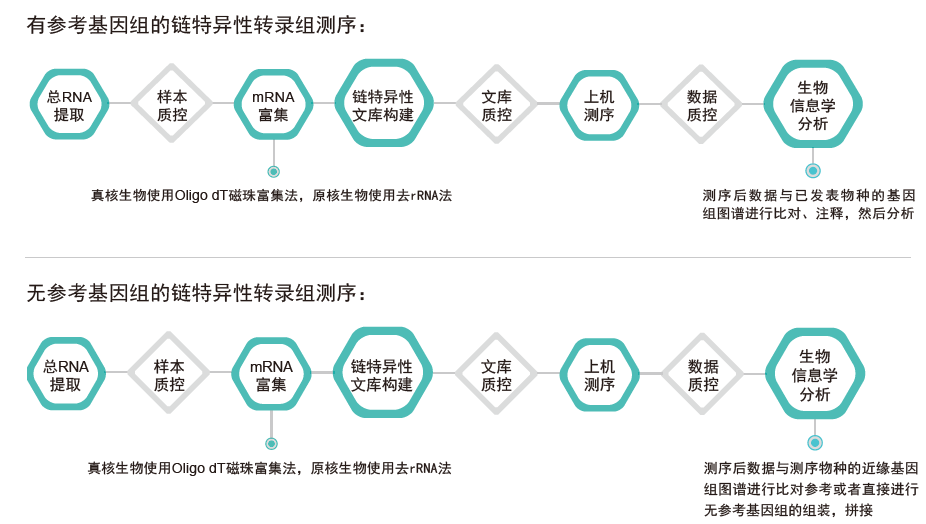 转录组测序-技术路线-阅微基因