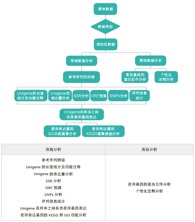 转录组测序-生信分析流程(无参)-阅微基因 转录组测序-生信分析流程(无参)-阅微基因
