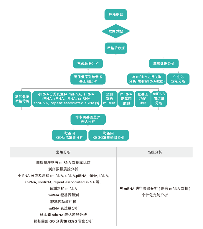 小RNA（small RNA）测序-生信分析流程-阅微基因