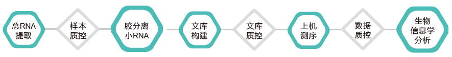 小RNA(small RNA)测序-技术路线-阅微基因 小RNA(small RNA)测序-技术路线-阅微基因