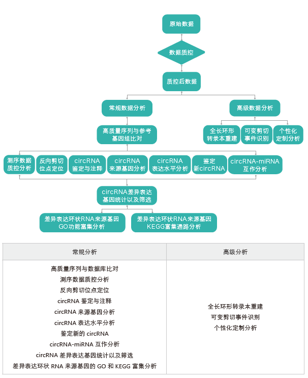环状RNA(circRNA)测序-生信分析流程-阅微基因 环状RNA(circRNA)测序-生信分析流程-阅微基因