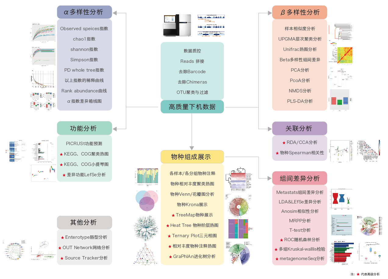 16S/18S/ITS扩增子测序-生信分析流程-阅微基因 16S/18S/ITS扩增子测序-生信分析流程-阅微基因