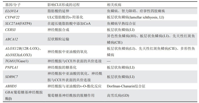 脂质包膜形成相关基因-阅微基因 脂质包膜形成相关基因-阅微基因