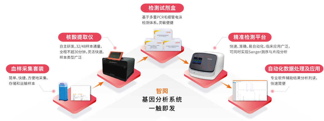 智阅基因分析系统-阅微基因