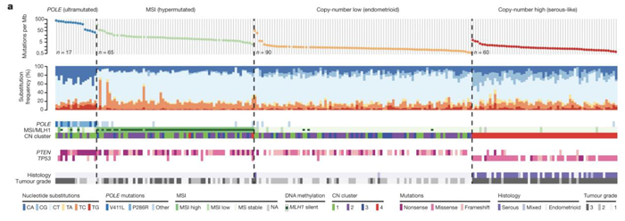 子宫内膜癌突变图谱_子宫内膜癌的分子分型_阅微基因