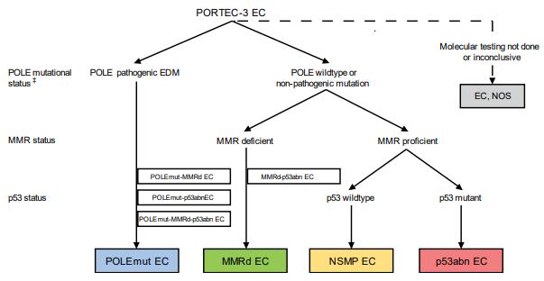 Transprotec的分型顺序_子宫内膜癌的分子分型_阅微基因