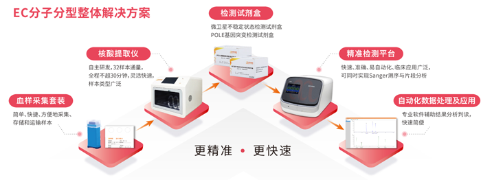 阅微基因子宫内膜癌分子分型检测整体解决方案