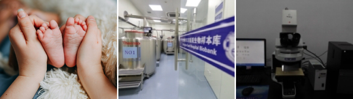 一文读懂染色体核型分析_阅微基因 一文读懂染色体核型分析_阅微基因