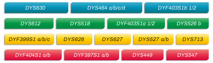 MicroreaderTM-RM-Y-ID-System位点信息_家系排查中如何运用好RM Y-STR?_阅微基因 MicroreaderTM-RM-Y-ID-System位点信息_家系排查中如何运用好RM Y-STR?_阅微基因